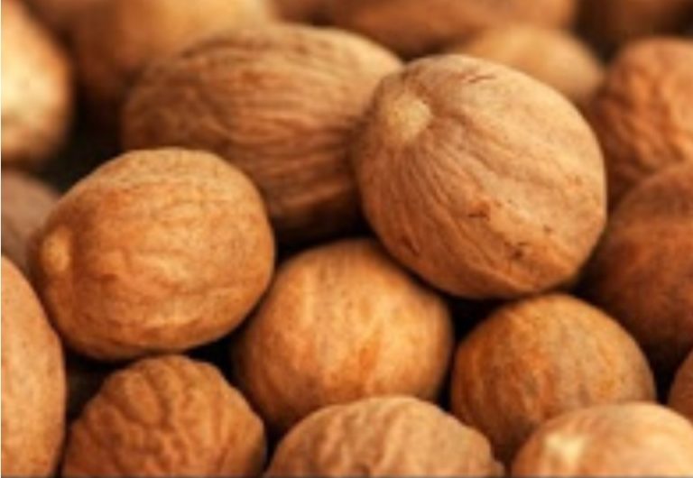 जायफल Nutmeg है सर्दियों में फायदेमंद